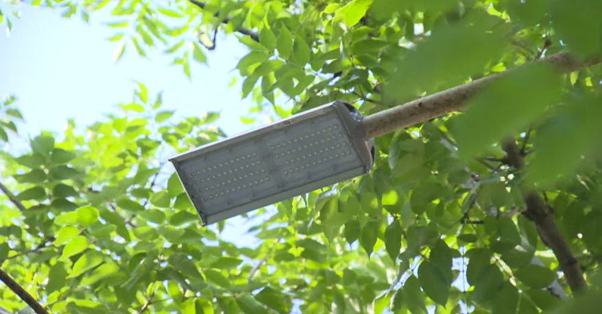    Источник фото: