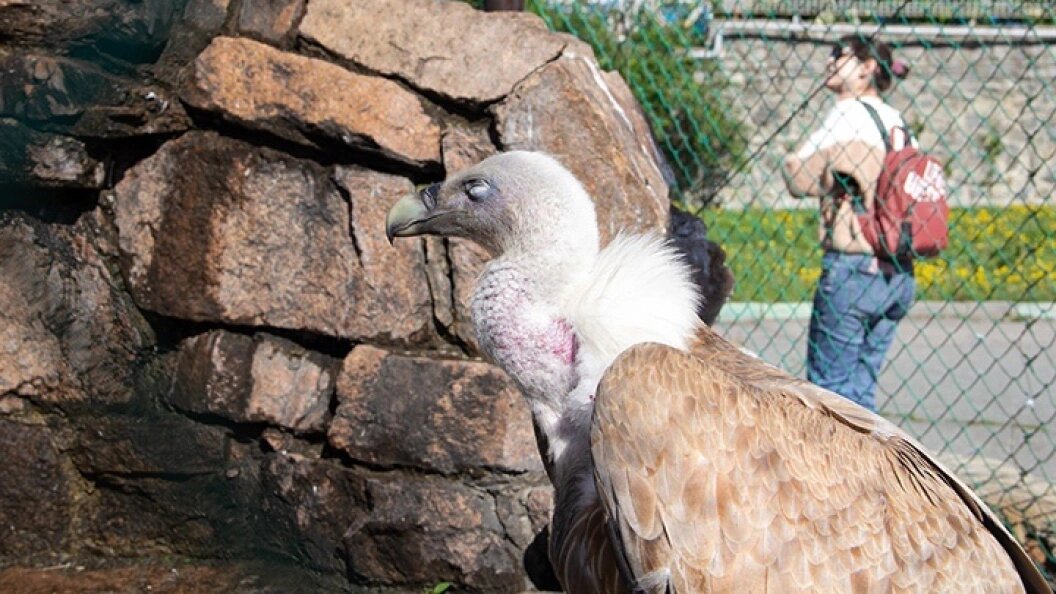    Фото: Царьград.