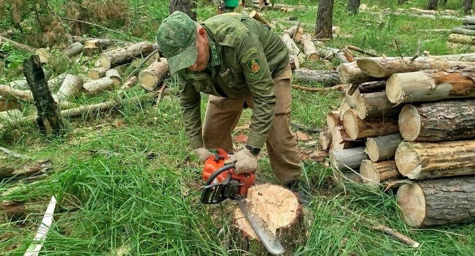    Комитет лесного хозяйства Московской области