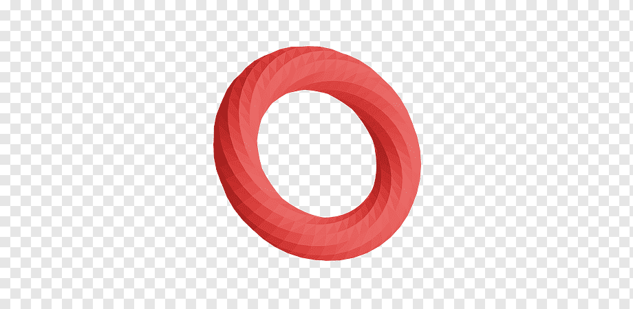 Рисунок 1. Тороид.