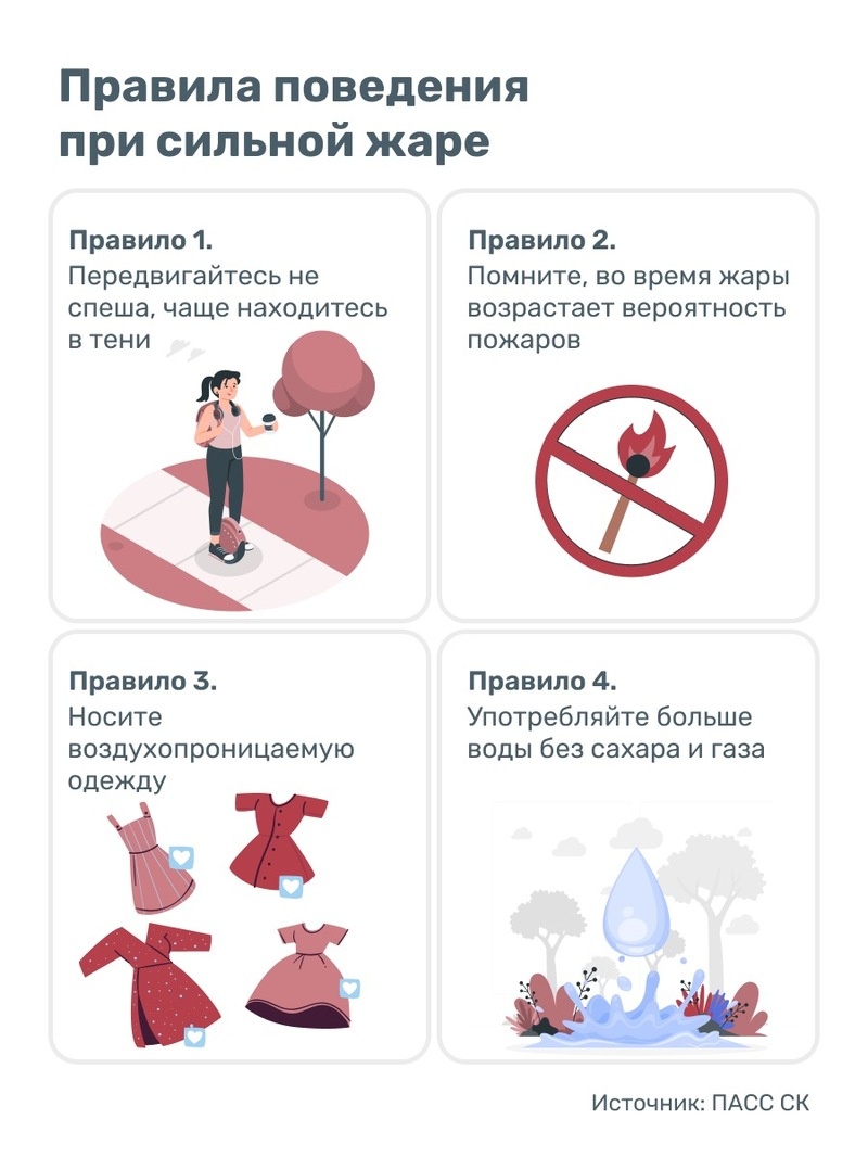    Правила поведения в жару Фото: ИА «Победа26»