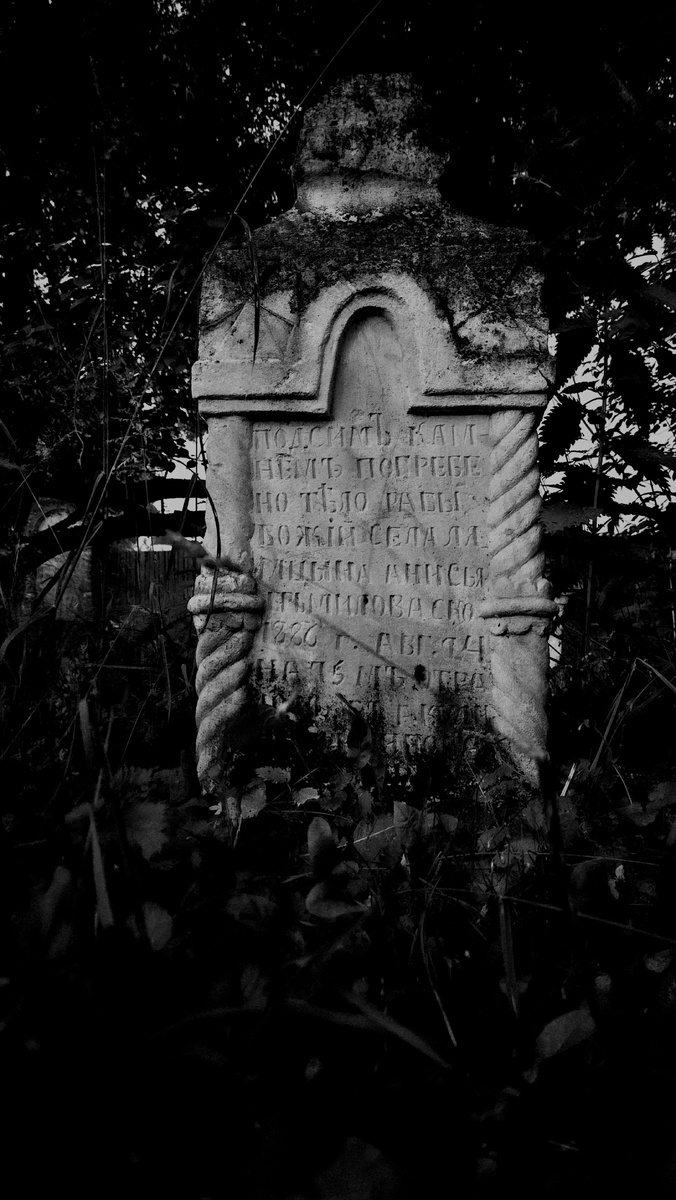 
Закат прошел, оставляя свои кровавые мазки на небе. 
Тишина. Только сверчки и птицы иногда нарушают ее царство покоя.

Ветер шевелит высокую траву, пробивающуюся между потрескавшихся надгробий. 
Я осторожно переступаю через упавшую плиту — нога проваливается в рыхлую землю, пахнущую сыростью и временем.  

И вот он — камень.  

Покосившийся, покрытый мхом, под охраной крапивы, но... живой.  

Буквы, высеченные больше века назад, еще читаются.
Склоняюсь в поклоне перед надгробъем и начинаю изучать текст: 

"Под сим камнем погребено тело рабы божий села Лямцина Анисья ...милова. Скончалась, 1886 г., август. На 75 году..." 
Дальше не разобрать.

Последние слова стерлись — время нещадно стирает все.  

Кто ты была, Анисья?

Простая крестьянка? Знахарка, к которой шли за помощью? Или... может, тебя боялись?  

Я провожу пальцем по холодному камню — и вдруг где-то за спиной трещит ветка.  

Оборачиваюсь.  

Никого.  

Но в воздухе висит ощущение, что кто-то наблюдает за мной.  

Замираю и слушаю темноту. 