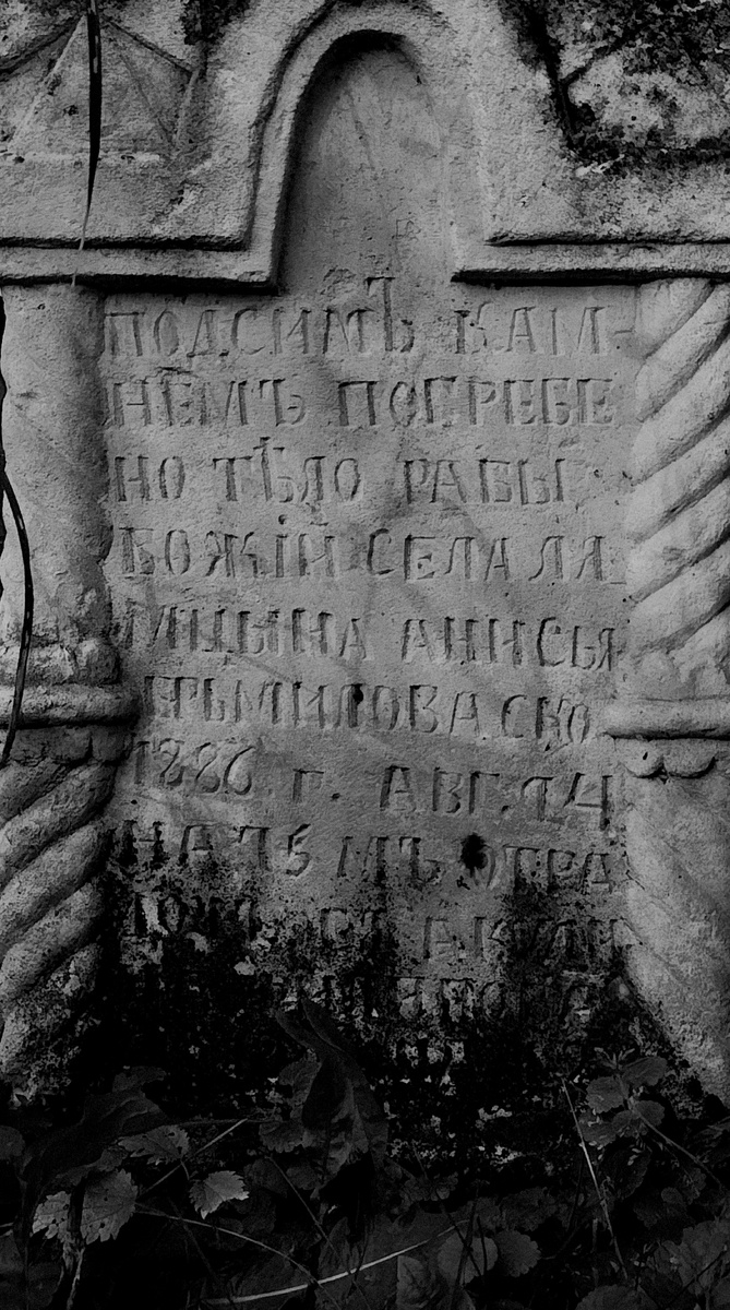 После паузы, иду дальше.  

Среди зарослей нашлись еще несколько могил:  

- Детское надгробие с единственной буквой "М" и датой 1891 год. 
Кто-то не успел даже имя высечь...  

- Огромный валун с выбитым крестом — никаких надписей, только глубокие царапины, будто кто-то точил о него нож.  
- А еще... свежие следы.  

Кто-то был здесь недавно.

На одном из камней — выцарапанные символы.  

Не старые.  

Современные, скорей всего гвоздем или ножом.  

Местные подростки? Или... те, кто приходят сюда по другим причинам? 

Попробую вызвать Анисью.  

Может, она захочет поговорить?  


#СтароеКладбище #ЗаброшенныйПогост #Мистика #эгф