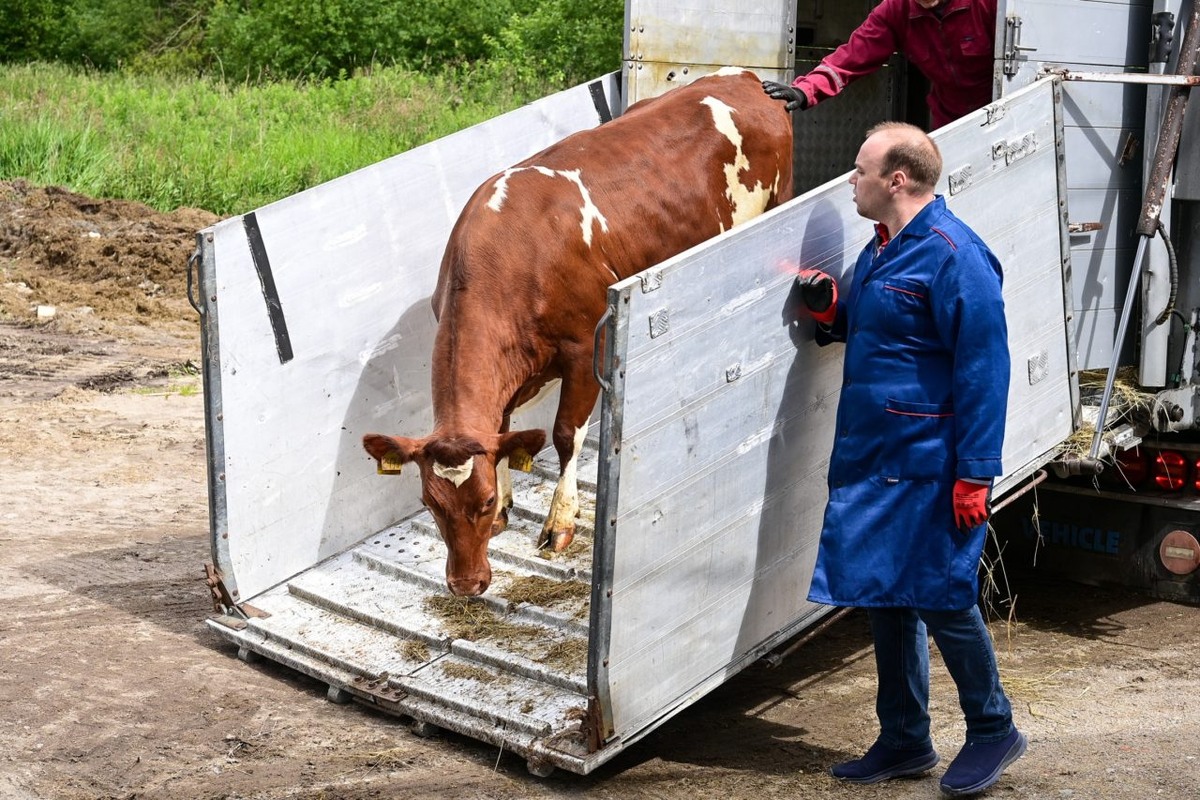    Фото: "Республика"/ Сергей Юдин