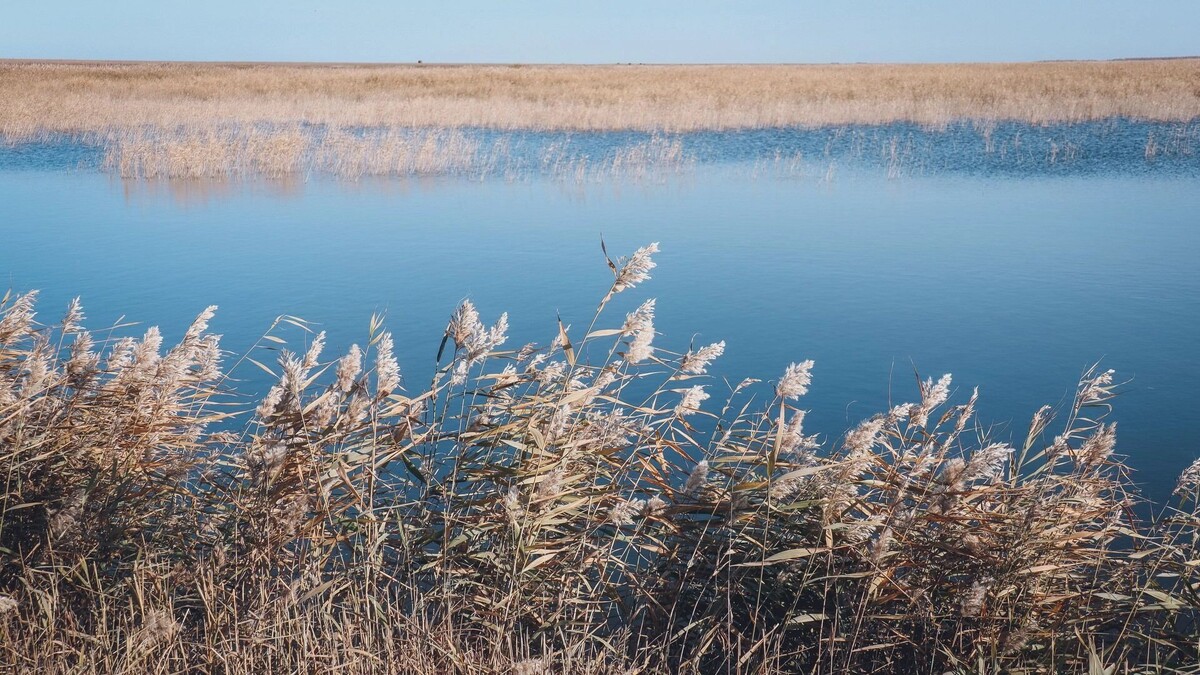     Источник: 1MI