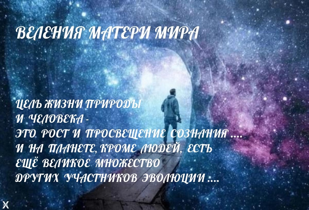 РОСТ  И  ПРОСВЕЩЕНИЕ  СОЗНАНИЯ