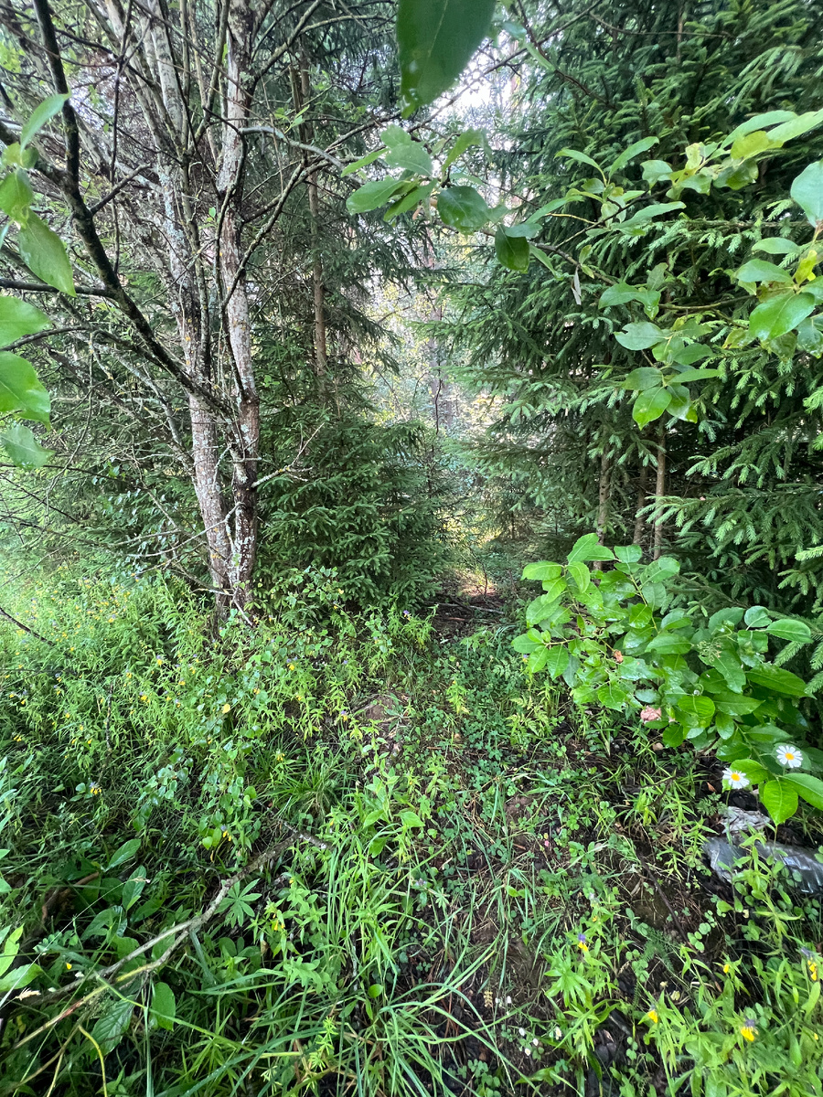 Из этого прохода уже веет прохладой.