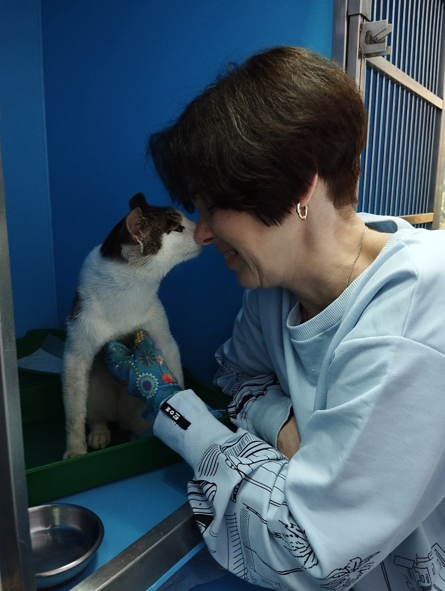 Кристиан и куратор