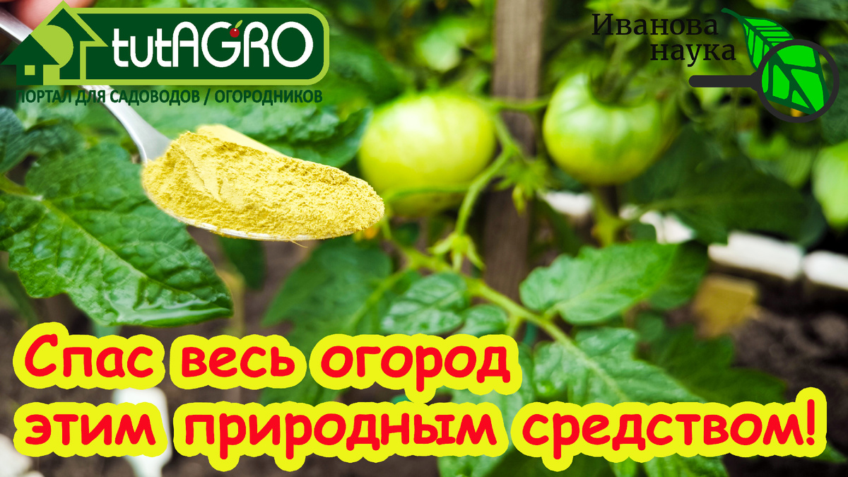 Это реально работает!