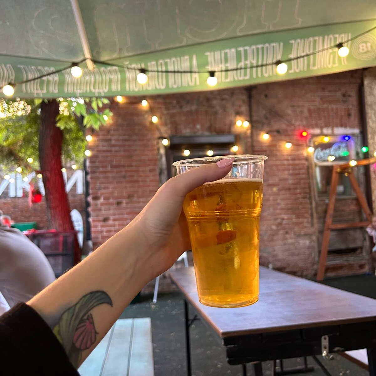    Фото: архив progorod