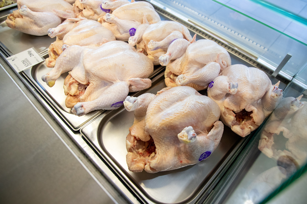 Фото: Тульская служба новостей 