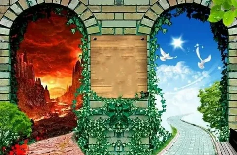 изображение из открытых источников