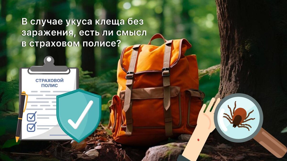 Укусил клещ, но не заражен? Страховка ВСЕ РАВНО нужна! 5 причин, почему она ОКУПАЕТСЯ | фото Freepik
