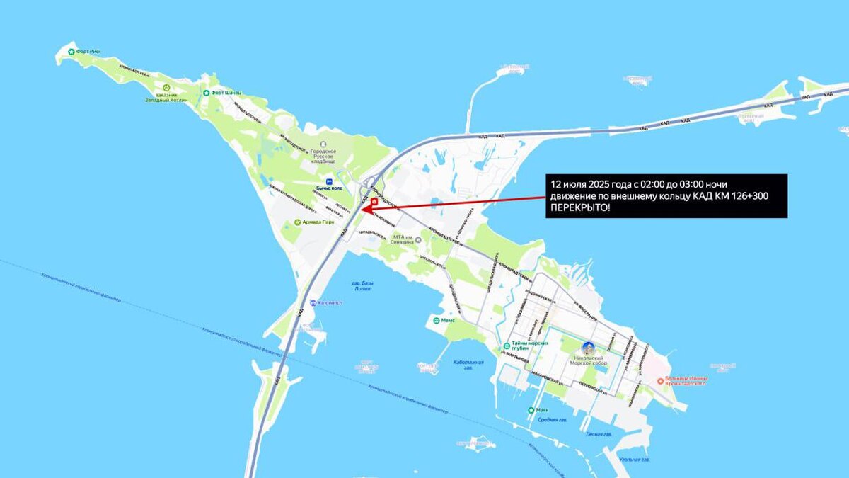    Фото: vk.com/damba_spb