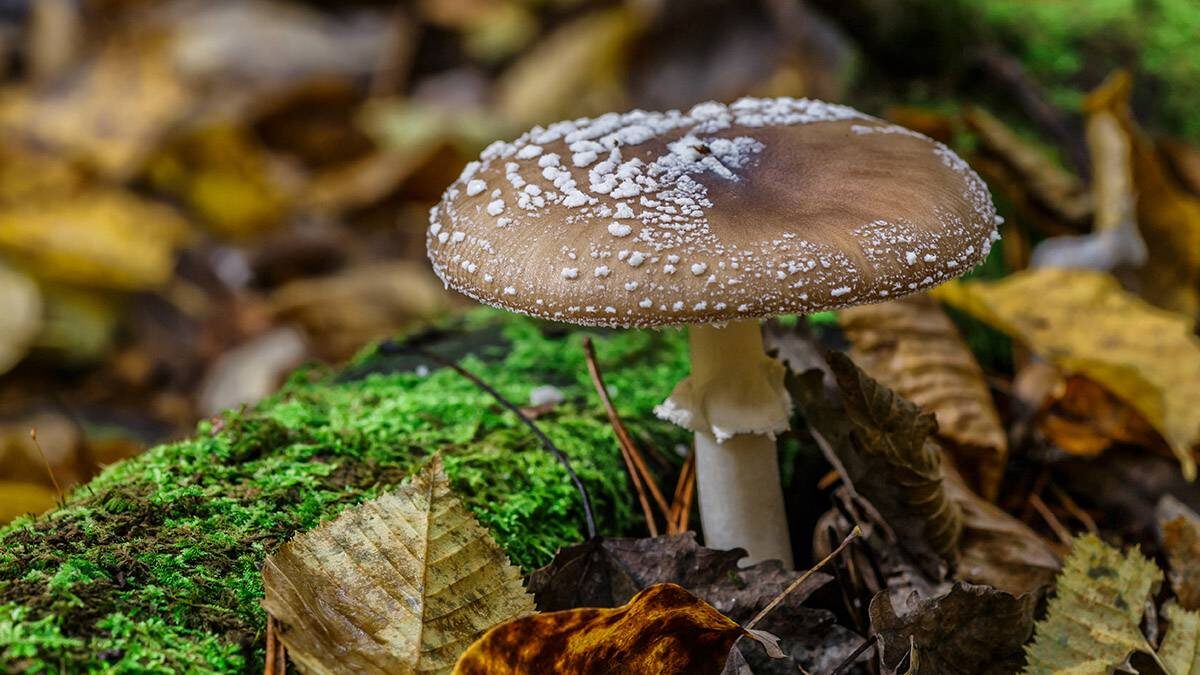    Фото: shutterstock