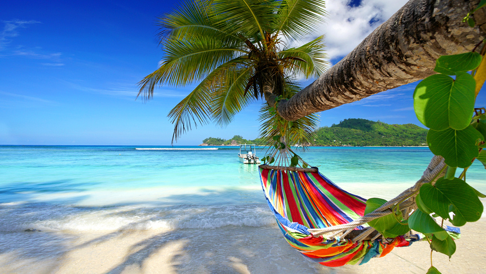     Фото: Jenny Sturm/Shutterstock/FOTODOM