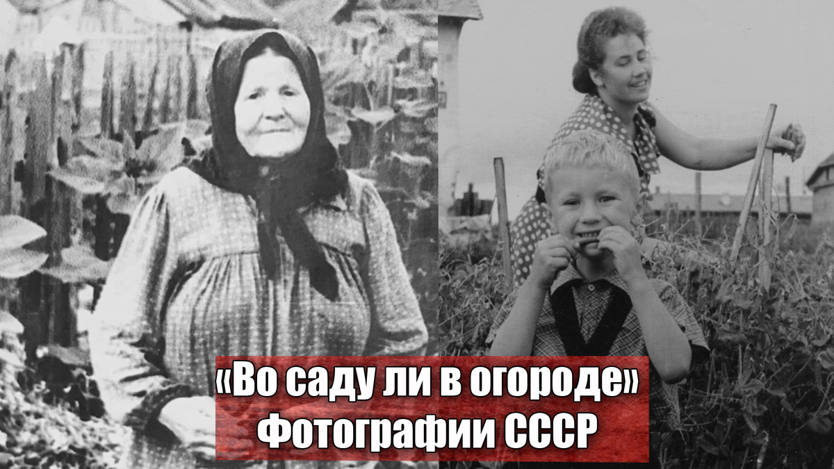 «Во саду ли в огороде» ностальгия по СССР: 10 замечательных фотографий