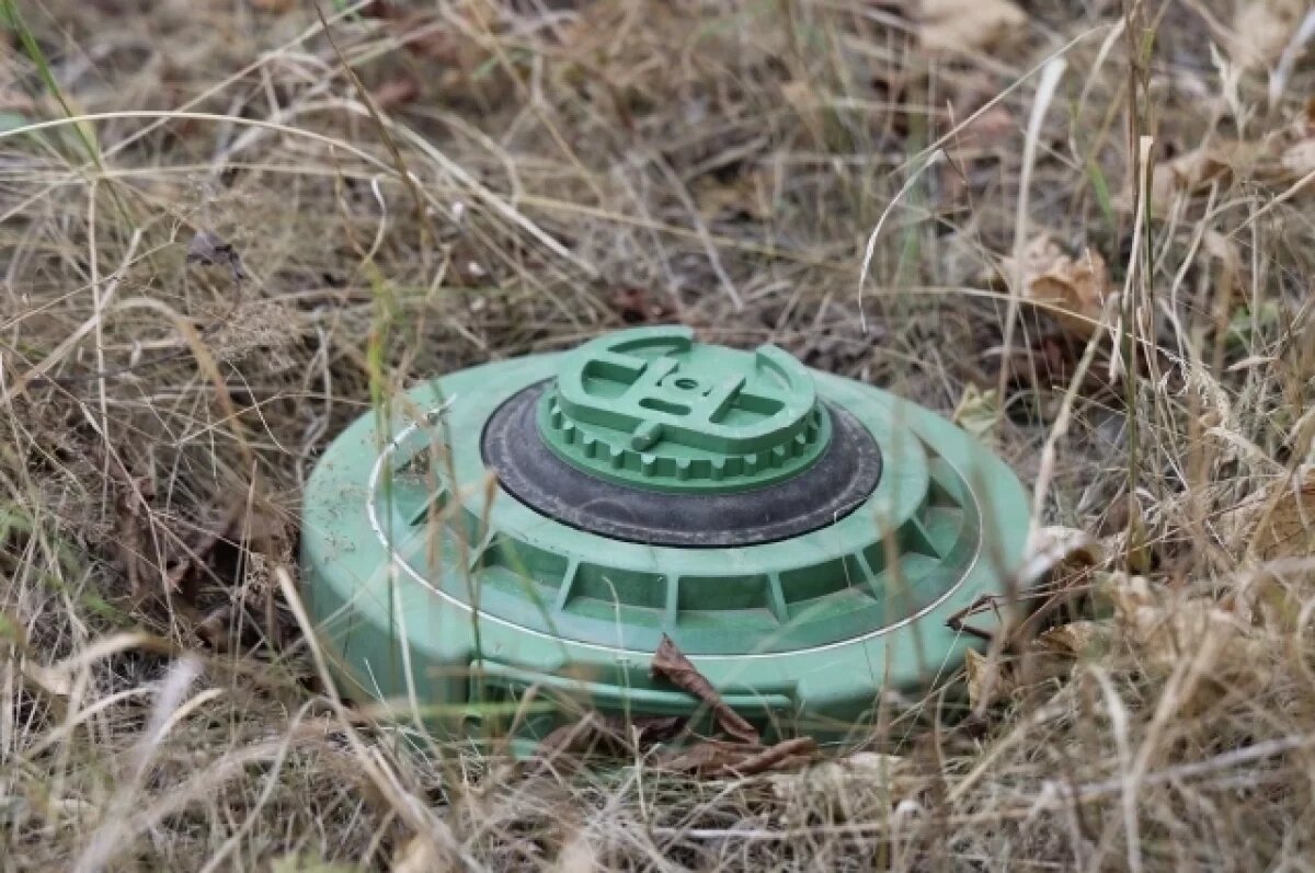    ВСУ минируют уже освобожденные территории Курской области.