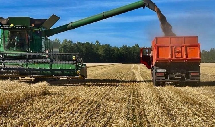    Фото: Правительство Тамбовской области