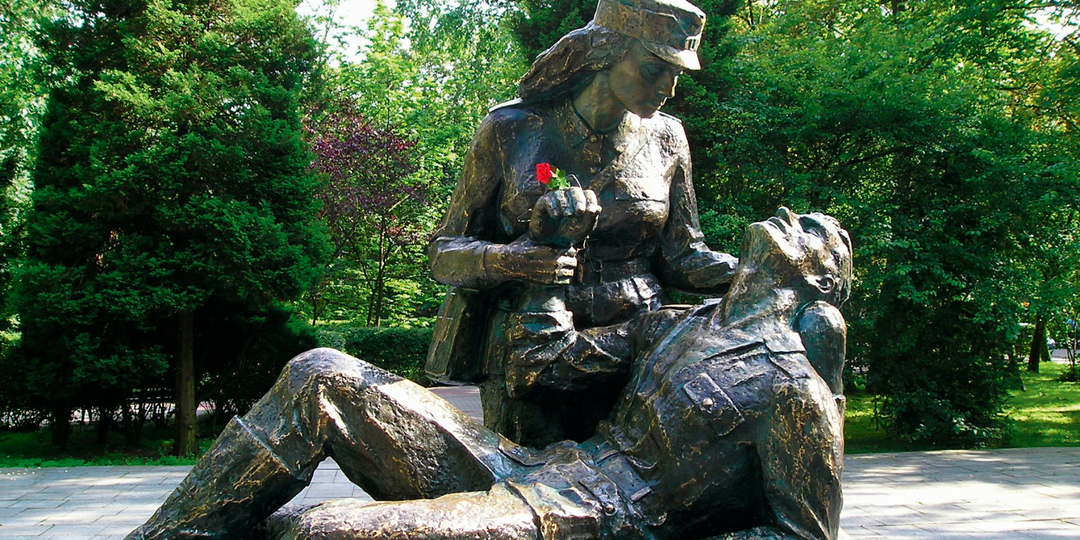 Дивизия креста и полумесяца