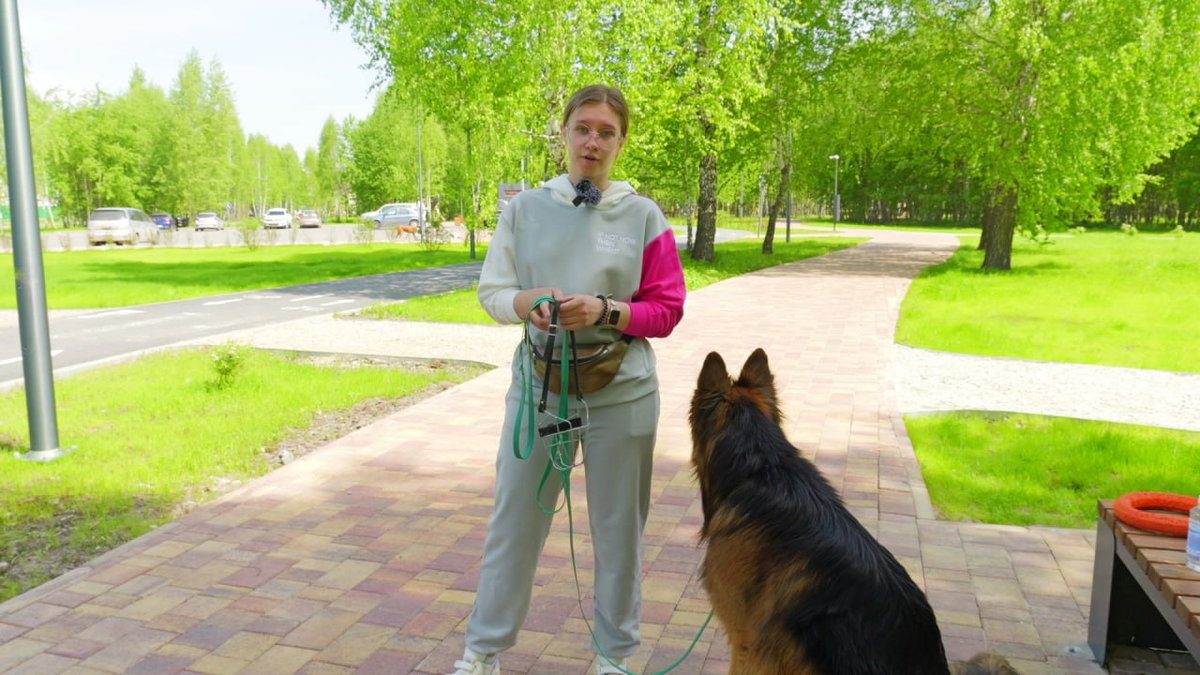 Длина поводка для маленькой собаки - около 1,5 м, чтобы обеспечить ей комфорт и безопасность
