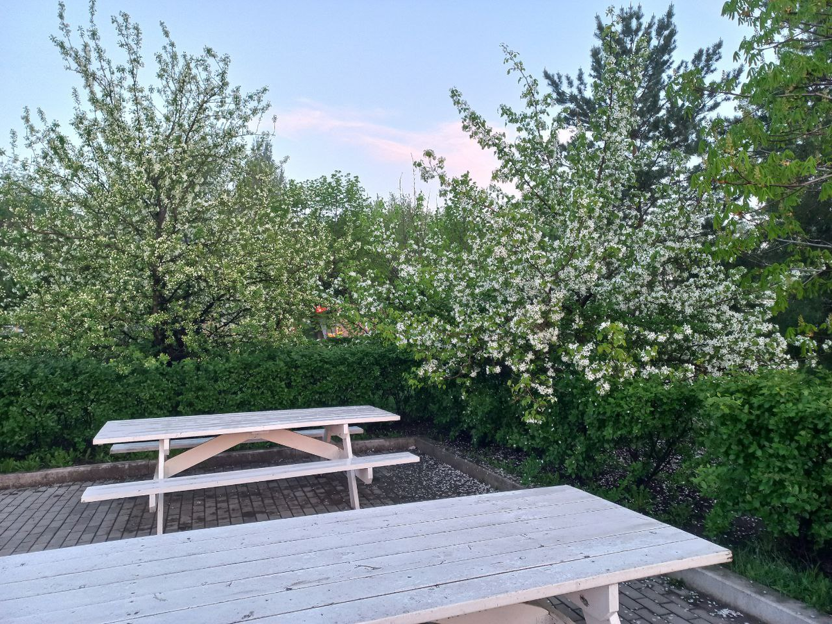 Фото автора.