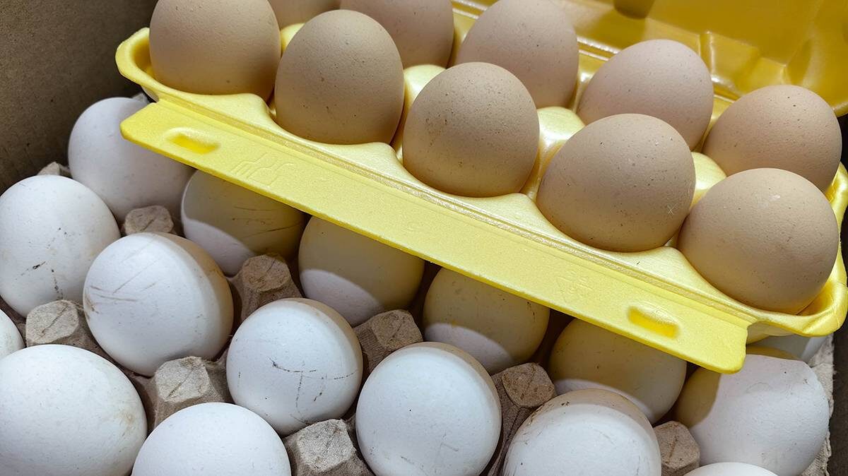    Фото: Василий Кузьмиченок / АГН Москва