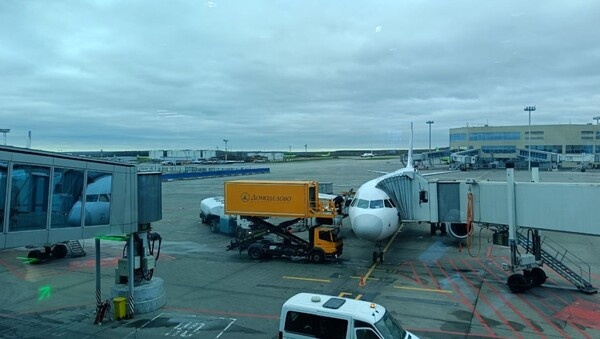    Фото: Александр Выдро/BFM Кубань