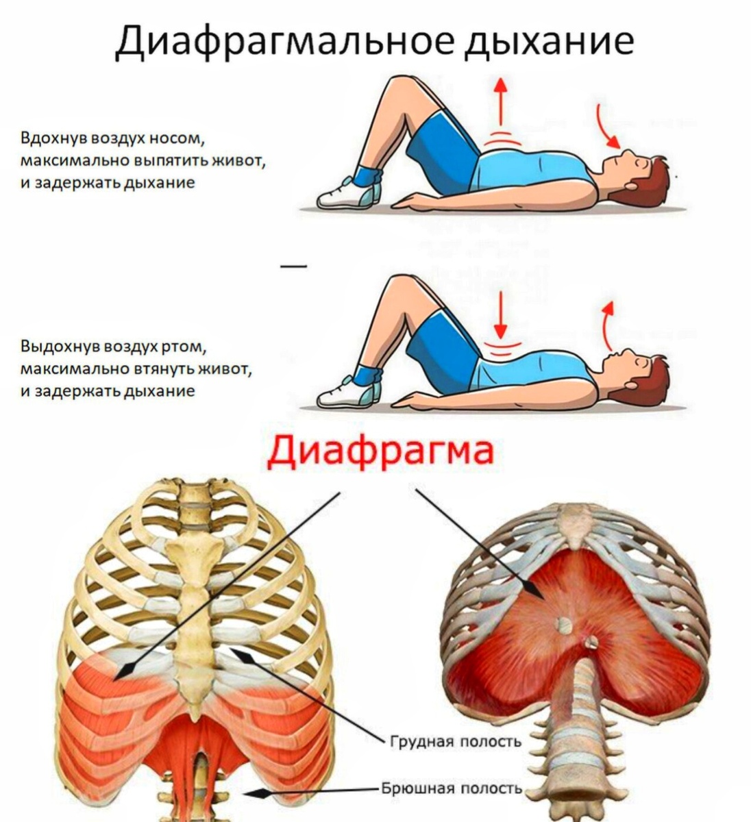 Фото: в свободном доступе