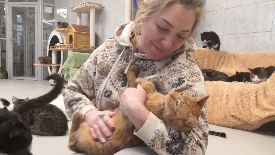    Позаботиться о животных можно в кошачьем приюте «Преданное сердце». Фото: соцсети приюта.