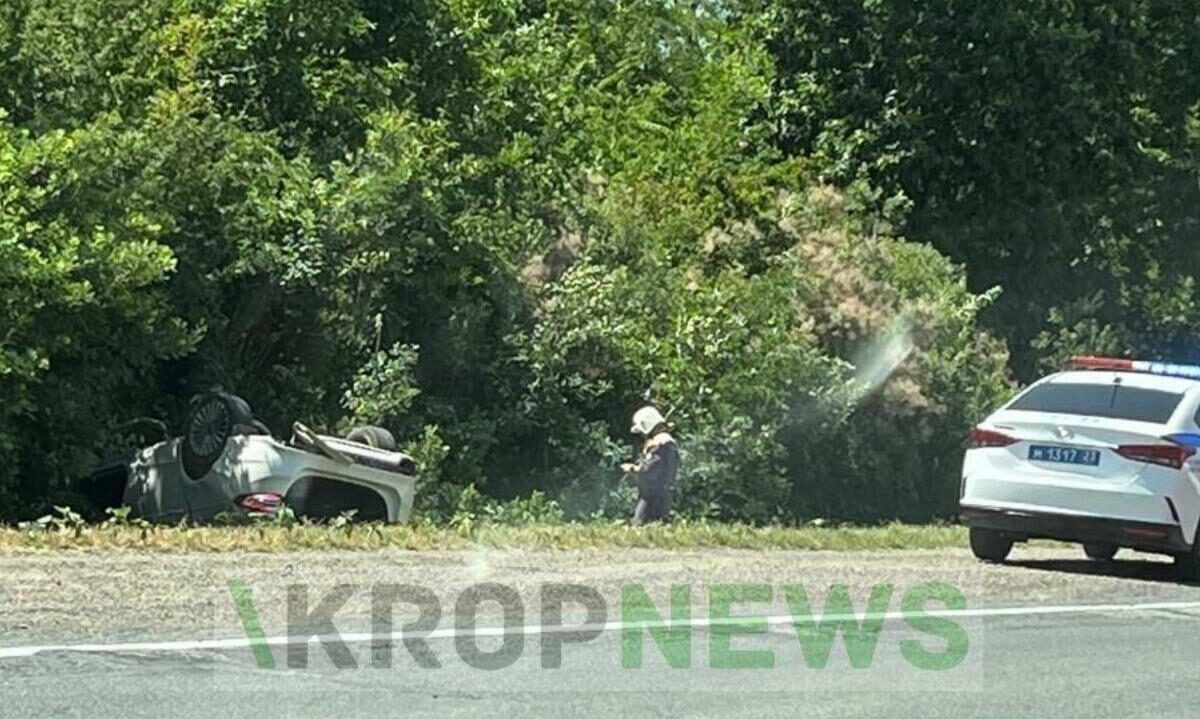    Фото t.me/kropnews