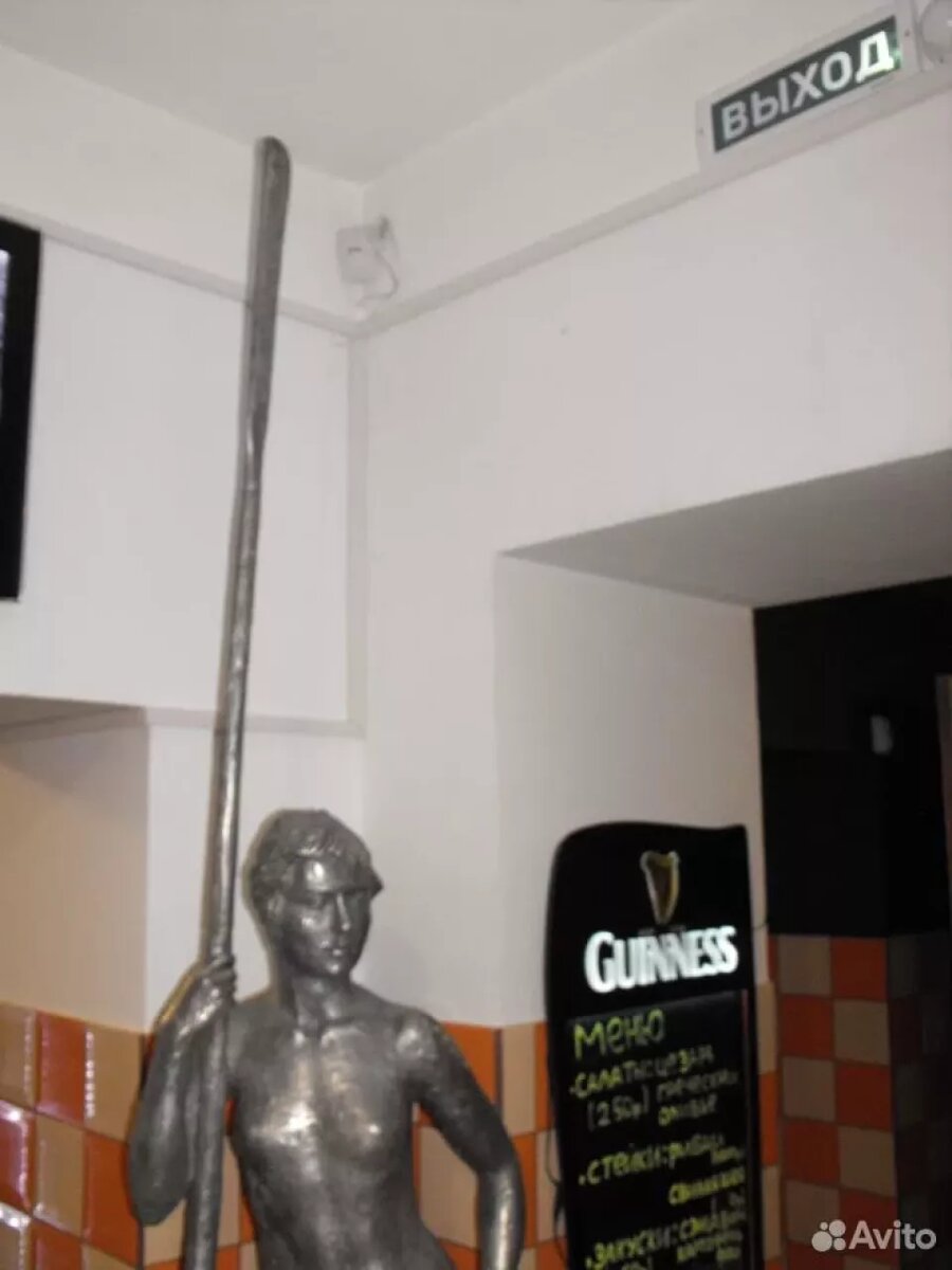    В Барнауле продают девушку с веслом. Источник: avito.ru