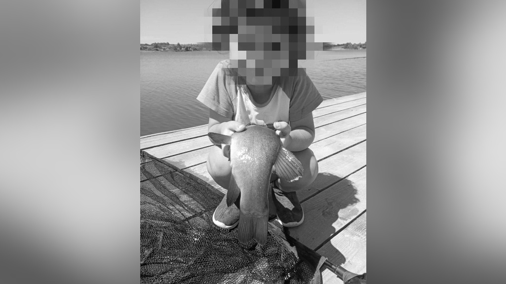 Фото: t.me/Hinshtein / тг-канал Александра Хинштейна