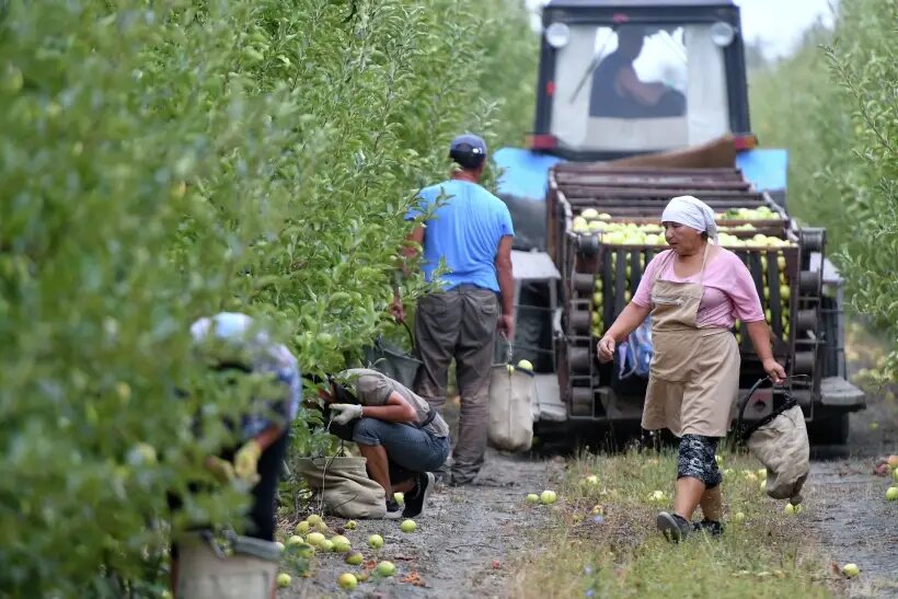     © РИА Новости. Константин Михальчевский