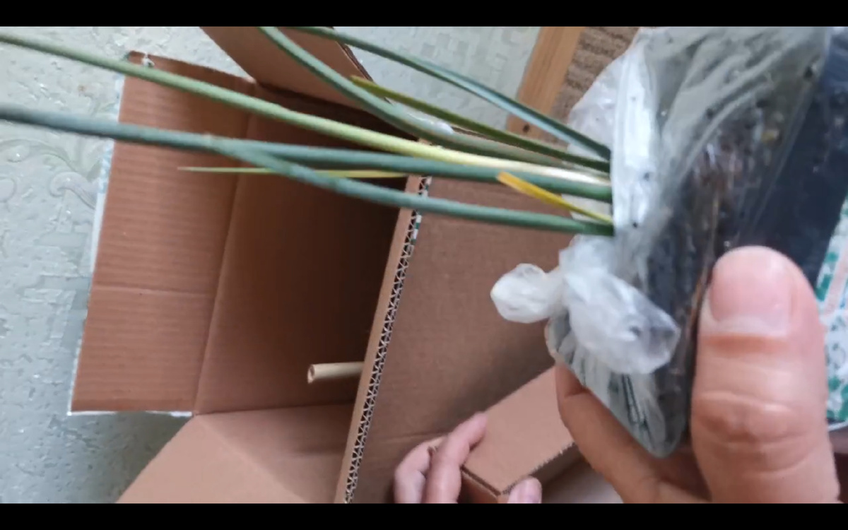 скрин экрана с видео