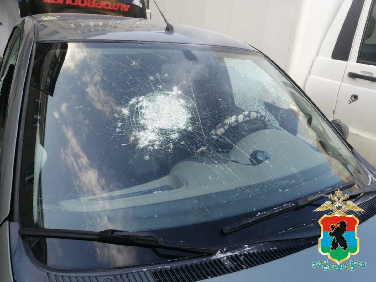    Фото: Полин Карелии/Телеграм