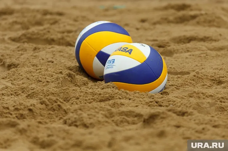 Тюменские политики летом занимаются волейболом и земледелием
Фото: Илья Московец © URA.RU