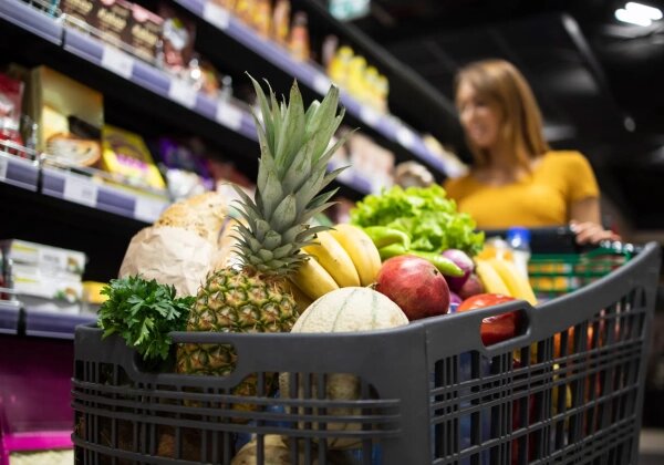 Обложка © freepik / aleksandarlittlewolf