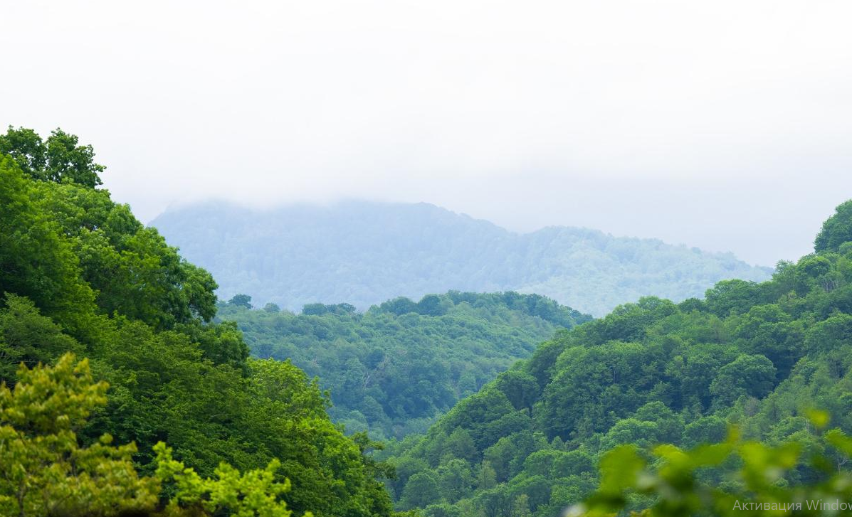 Сочинский нацпарк