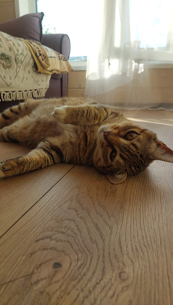 Тигра. Фотография из личного архива.