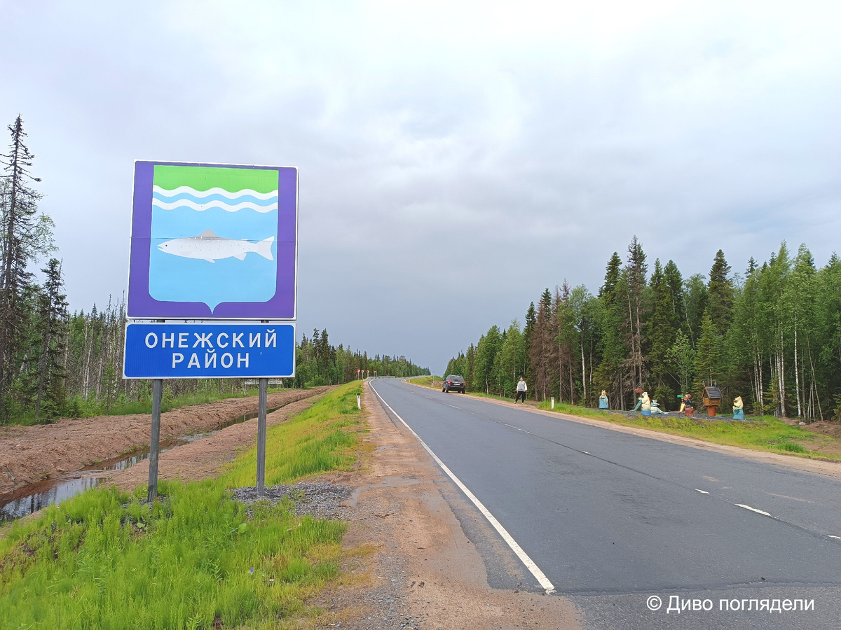 На гербе Онеги и Онежского района изображена сёмга! «В лазоревом поле под зелёной волнистой главой, имеющей дважды просеченную серебряно-лазорево-серебряную широкую кайму -  сёмга».