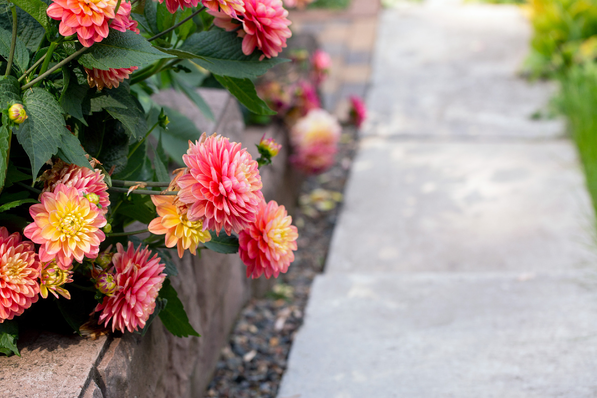 Designed by Freepik. Источник: www.freepik.com