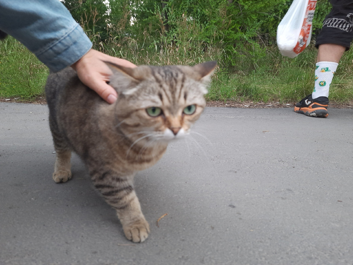 Суетилась настолько, что не попадала в фокус