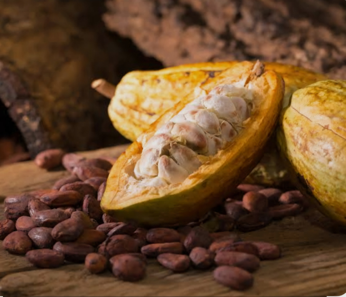 Плод какао- практически огромный стручок, в котором вызревают какао-бобы.