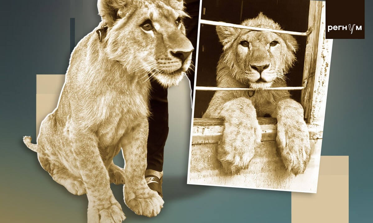     / Источник: Иван Шилов (с) ИА Регнум