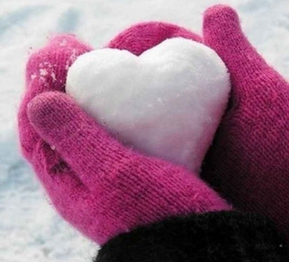 фото из открытого источника