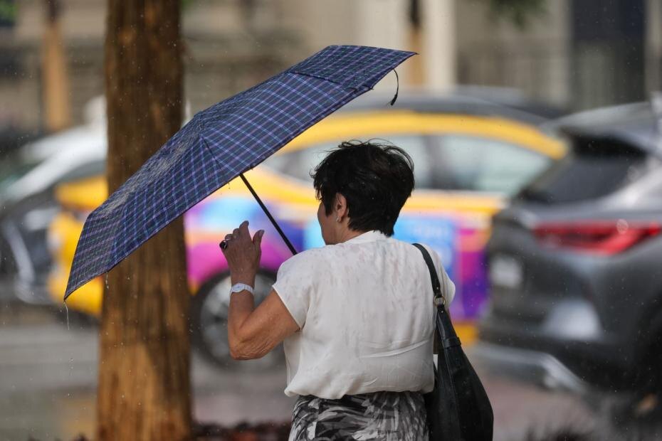    Алексей Белкин/NEWS.ru