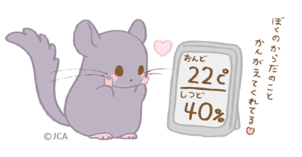 Изображение с сайта chinchilla.or.jp: оптимальные температура и влажность для шиншиллы