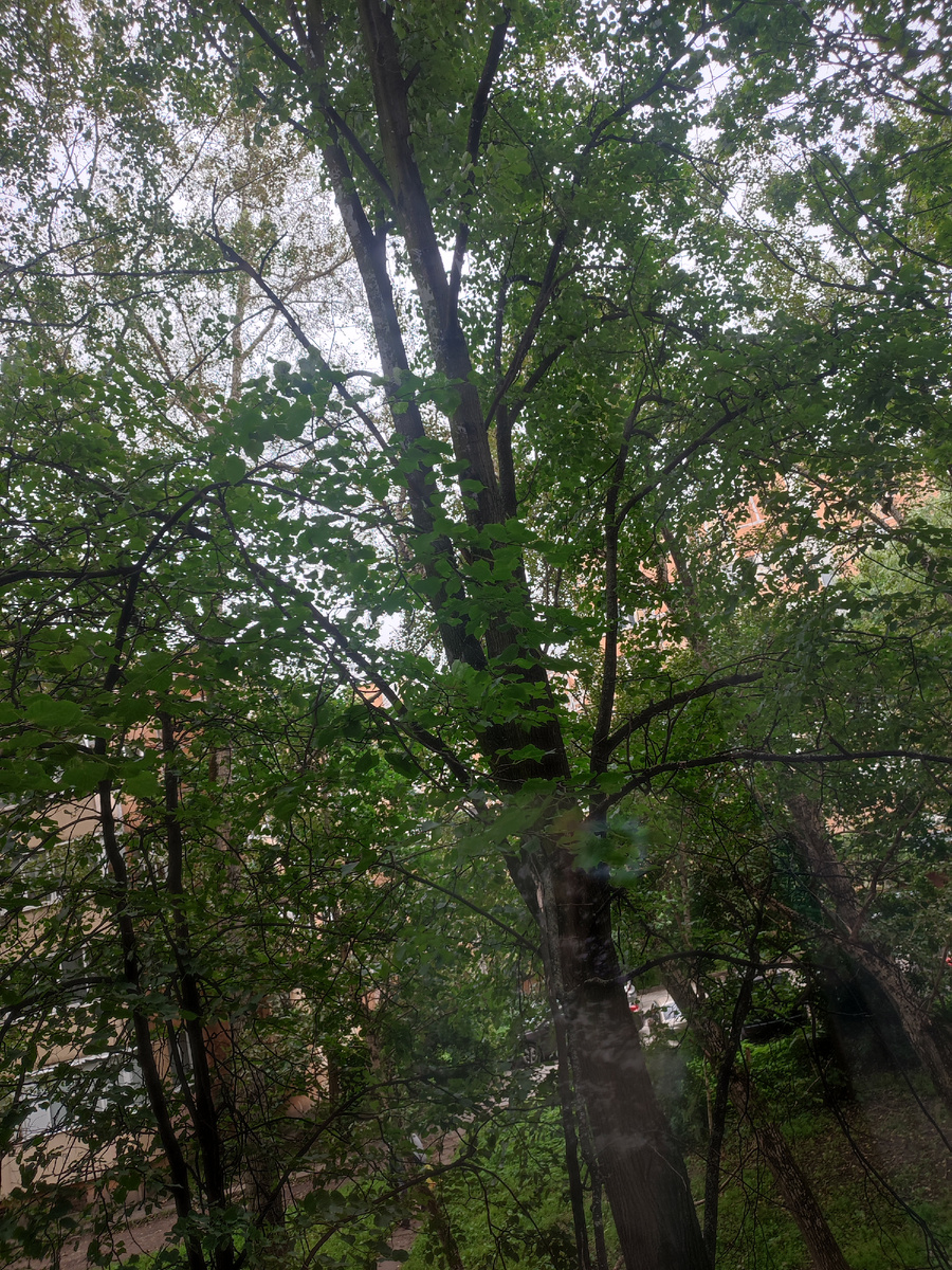 Пасмурно у нас