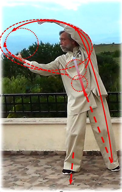 Форма"Лев" (Пасть Льва) 